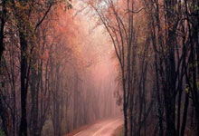 欧洲杯决赛直播哪里可以免费观看？